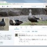 Twitter凍結解除。誤ってスパムと判断されて1ヶ月放置プレイ。